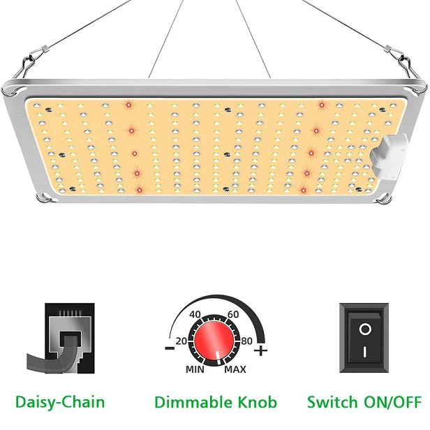 led grow light 1000w