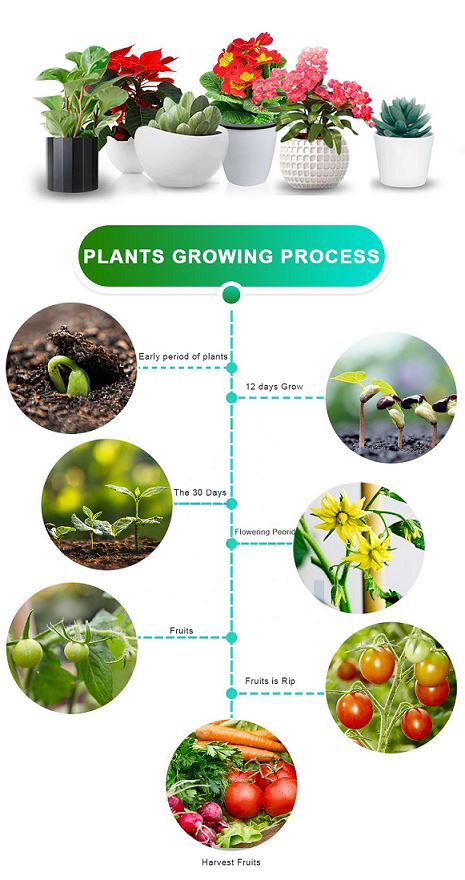 grow light led indoor plants