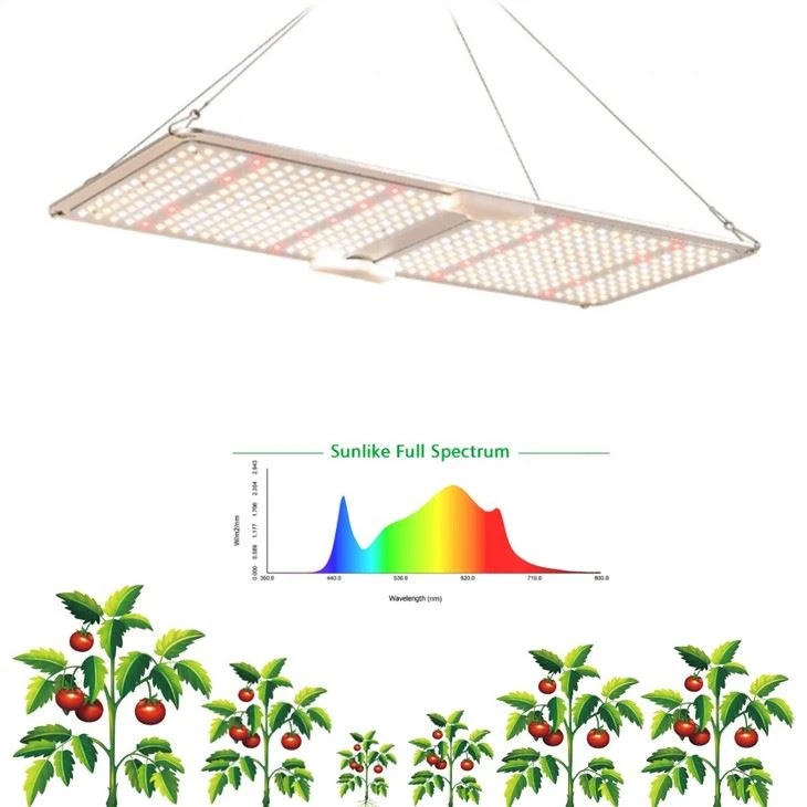 Grow Light Led Indoor Plants